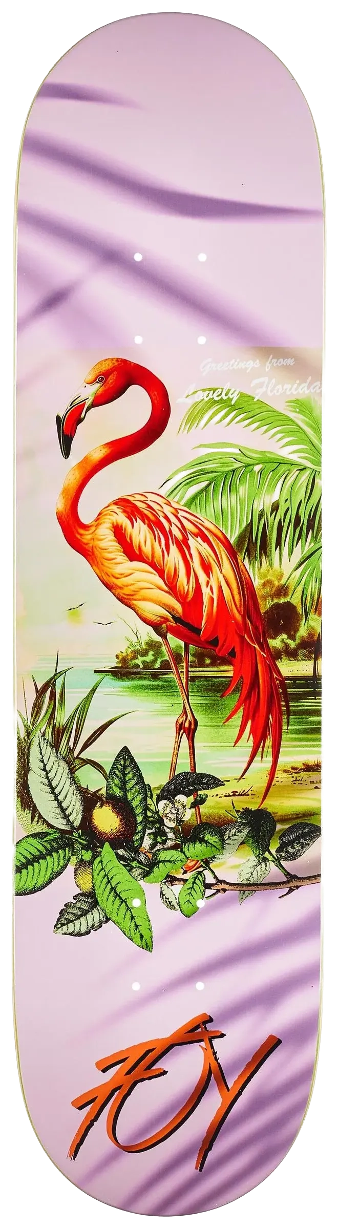 Deathwish Jamie Foy Flamingo 